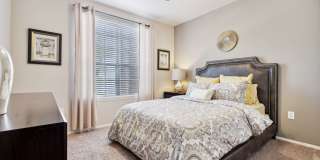 Vista Lake Ned Gallery 3