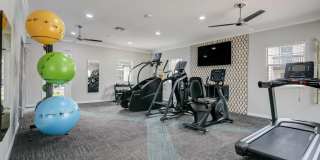 Nova at Trinity Gallery 6