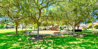 Beautiful Single-Level Custom Home with Serene Backyard Space in the Lovely Peppertree Park Community of Fallbrook! Gallery 78
