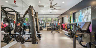 Lazo Gallery 19