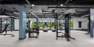 Prose Southcenter Gallery 55