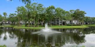 Lake Forest Gallery 1