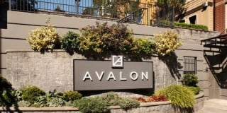 Avalon Bellevue Gallery 30