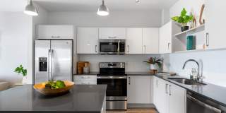 Motion at Dadeland Gallery 45