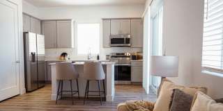 Zora Encanto Gallery 26