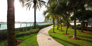 Flamingo South Beach Gallery 24