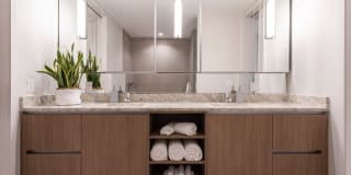 The Village Drey Gallery 11