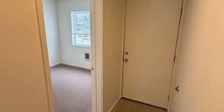 (343) Palatine Apartment  1 Bdrm / 1 Bthrm Gallery 3