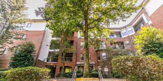 Highland Walk Gallery 20