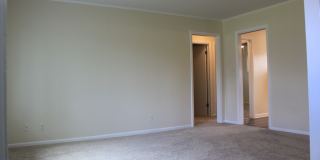 63 Pine Court Gallery 5