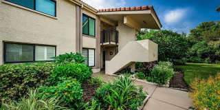 6382 PALMA DEL MAR Boulevard S Gallery 1
