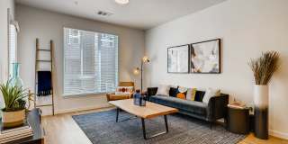 Legacy at Fitz Gallery 57