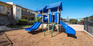 Canyon Ridge Gallery 24