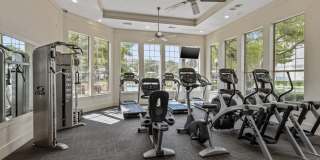 Cortland One Twenty One Gallery 13