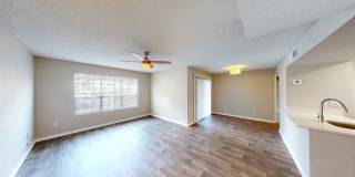 Cypress Run Gallery 31