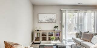 Oasis Gallery 8