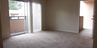 Villa Pacific Gallery 11