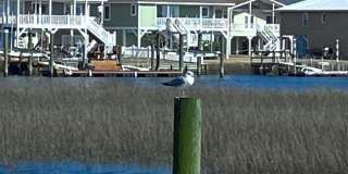 IN BEAUTIFUL SANDPIPER BAY! Gallery 26