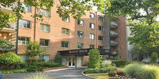 4800 CHEVY CHASE DR #404 Gallery 1