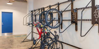 The Oliver The Oliver Gallery 12