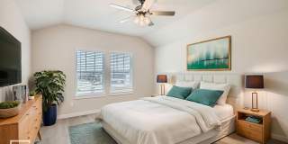 JASPER PLAN Gallery 6