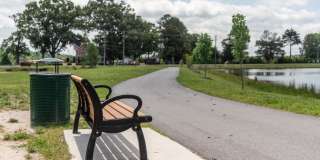 Red Knot at Edinburgh Gallery 48