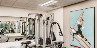 The Harlow Gallery 37