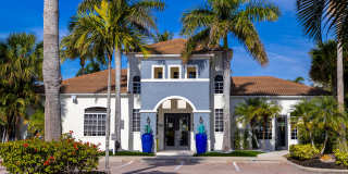 Lexington Palms at the Forum Gallery 37