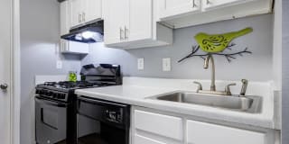 Laurel Oaks Gallery 13