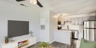 Rise at Town East Gallery 2