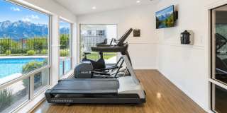 Springwood Gallery 9