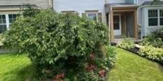 8414 MEADOW GREEN WAY Gallery 1