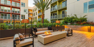 Citrus Commons Gallery 52