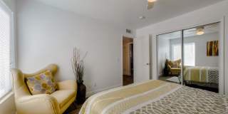 University Plaza Gallery 51