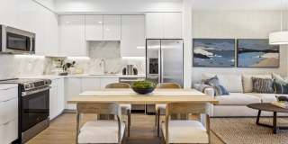 Vivo on Harbor Gallery 4