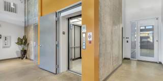 Koz at the Dome Gallery 18