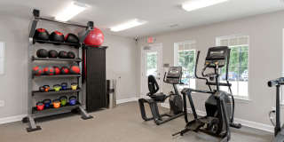 Weyland Weyland Gallery 13