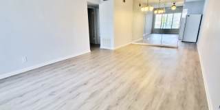 2429 Ecuadorian Way Gallery 14