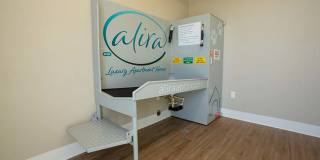 Alira Gallery 15