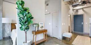 FURNISHED STUDIO IN THE HEART OF THE NORTH LOOP - UTILITIES INCLUDED! Gallery 5