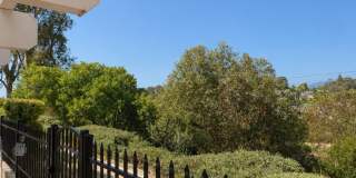 24612 Zena Court Gallery 19