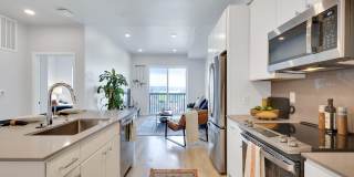 The Dorsey Gallery 4