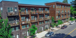 Hamilton and Eliza Gallery 3