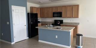 8187 Gopher Tortoise Trail Gallery 18