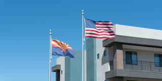 Acero Harvest Station Gallery 26