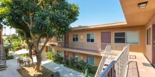 Elan The Palms Gallery 14