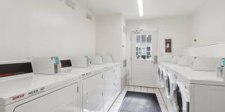 Brookvale Chateau Gallery 26