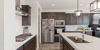 4 Bedroom Single Family Home in Surprise Gallery 6