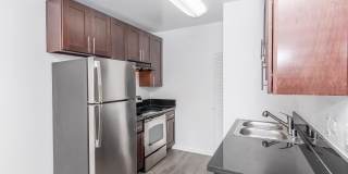 Ocean Vista Gallery 22