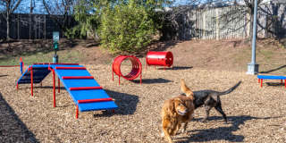 Halstead Centreville Gallery 26